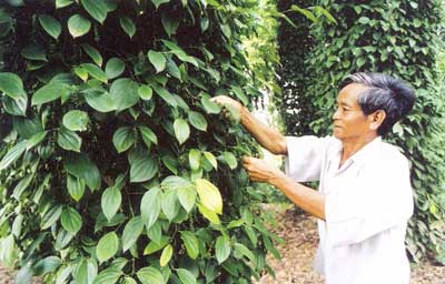 Ông Ngô Văn Lý